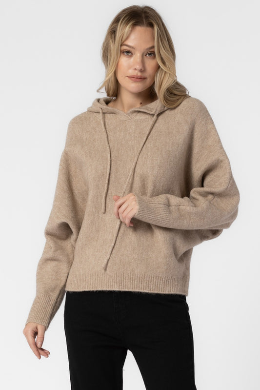 Westwood Knit Hoodie - Oat