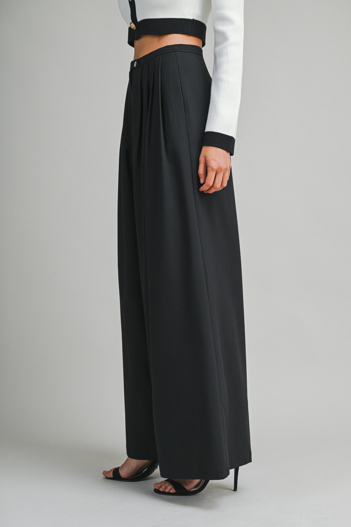 High Waisted Pleated Pant