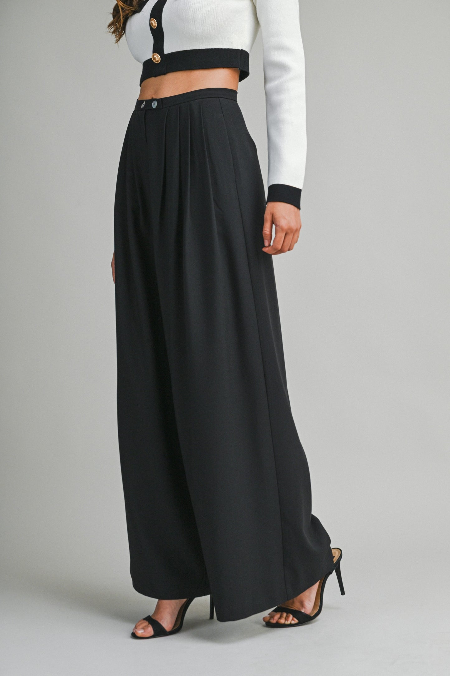 High Waisted Pleated Pant