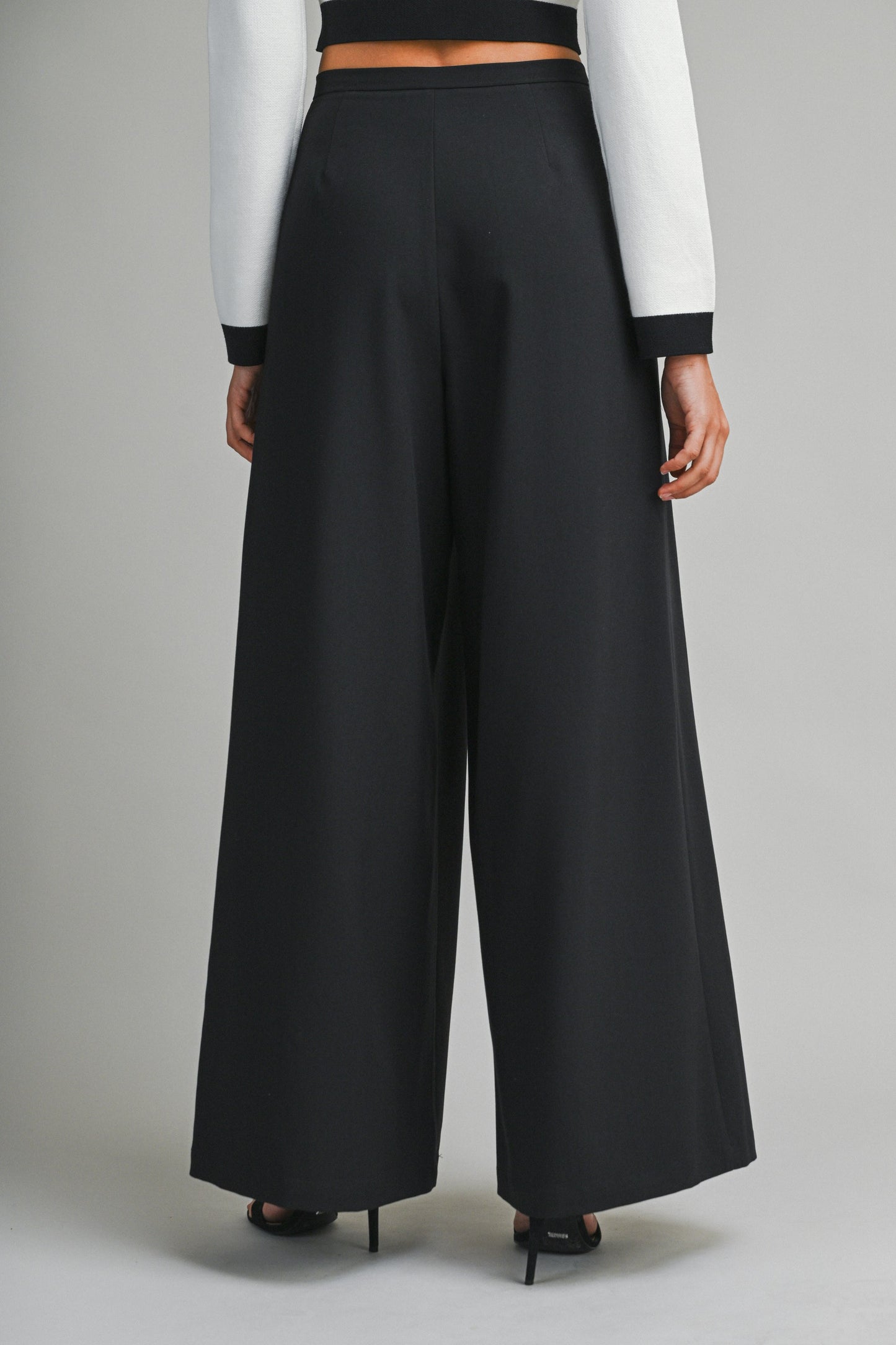 High Waisted Pleated Pant