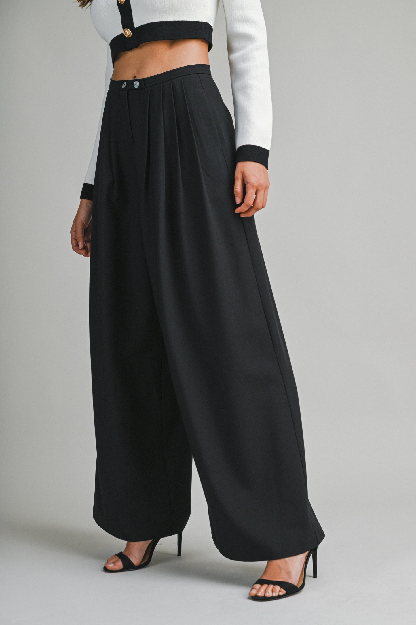 High Waisted Pleated Pant