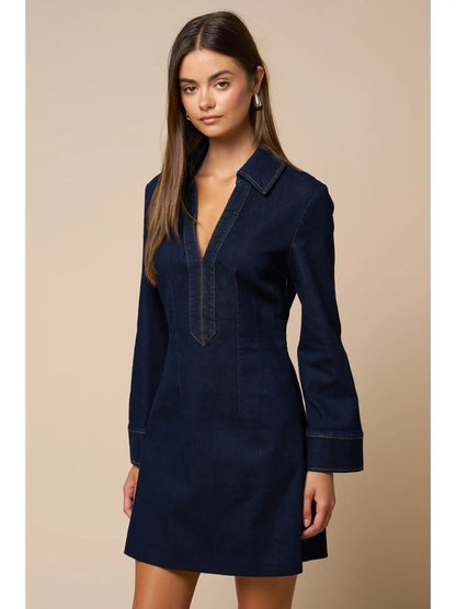 Jillian Denim Dress