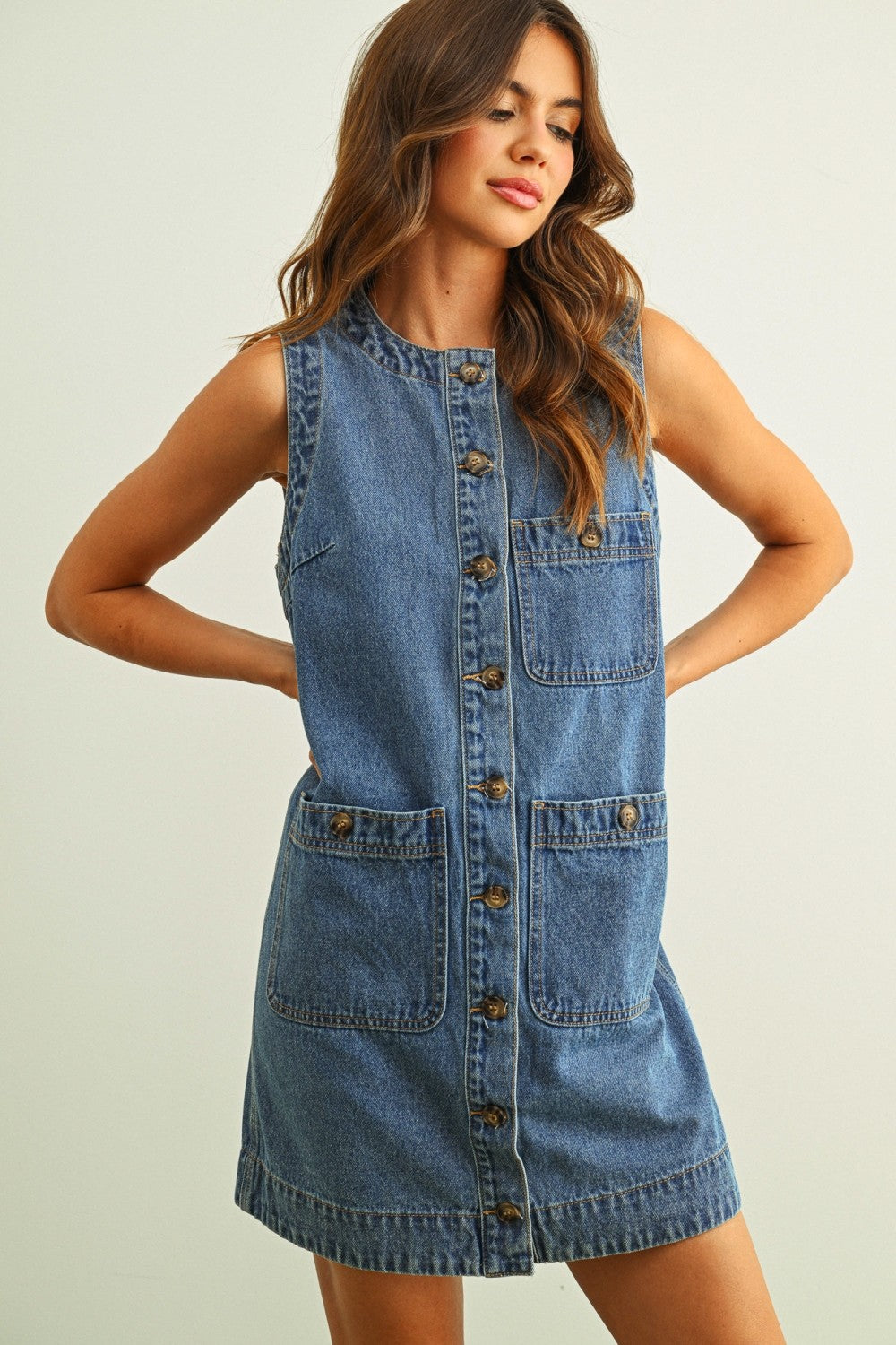 Sleeveless Button Front True Denim Dress - BIRD BEE