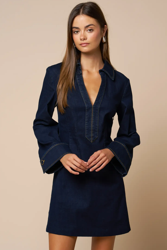 Jillian Denim Dress